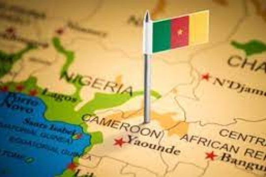 Écosystème Entrepreneurial Camerounais : Émergence et Collaboration pour un Avenir Prometteur